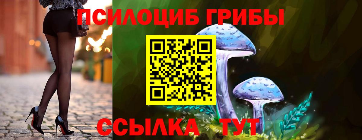 Псилоцибиновые грибы Psilocybine cubensis Тихорецк